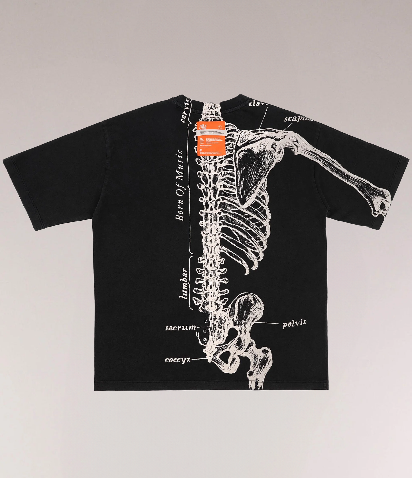 FIC X IFC WISHBONE SS TEE